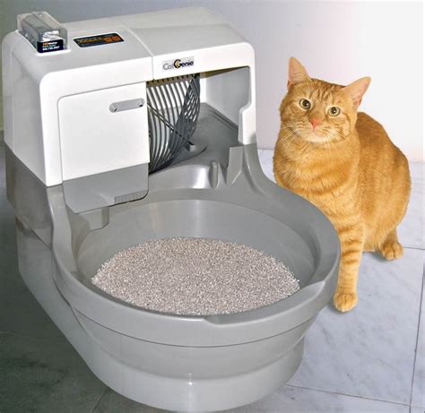 litter box electric|best automatic litter box for multiple cats.